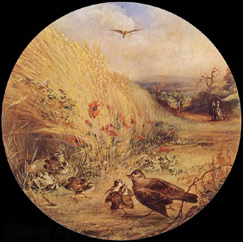 William Dexter Wheatfield with bird-s nest Germany oil painting art